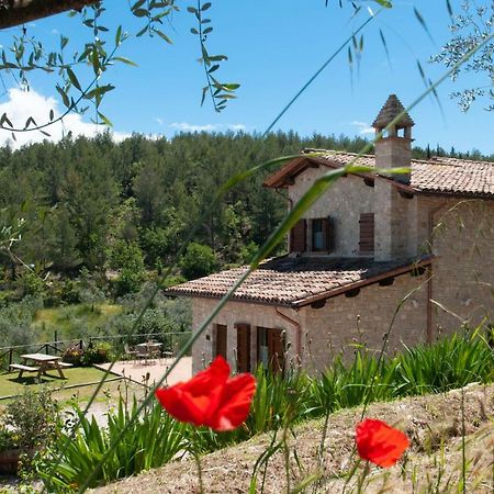 Agriturismo Molino Verde Montecchio  Экстерьер фото