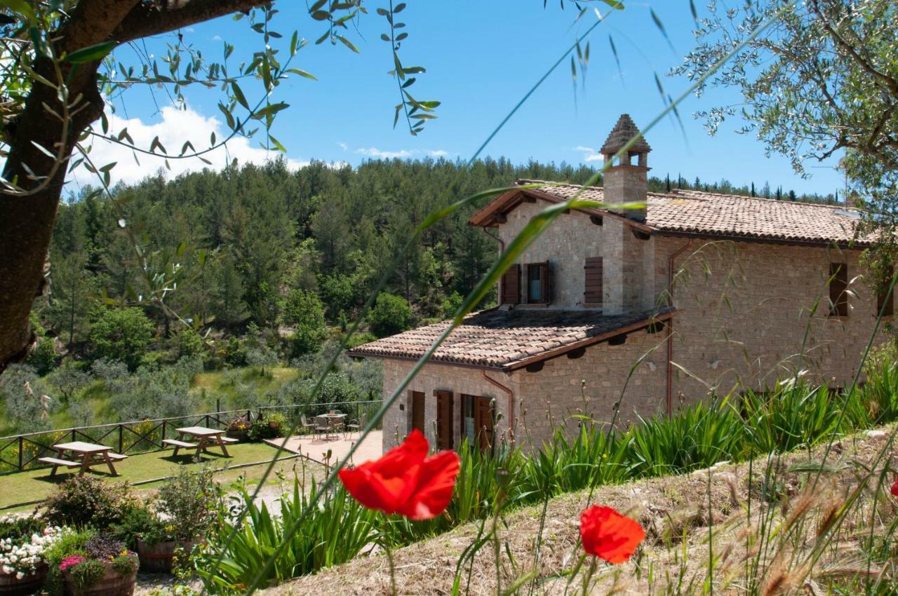 Agriturismo Molino Verde Montecchio  Экстерьер фото