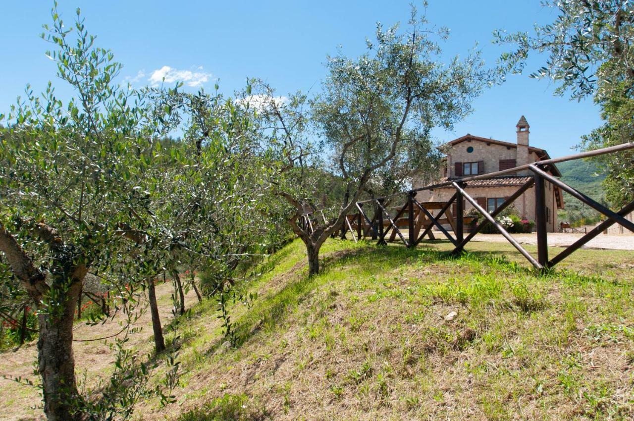 Agriturismo Molino Verde Montecchio  Экстерьер фото