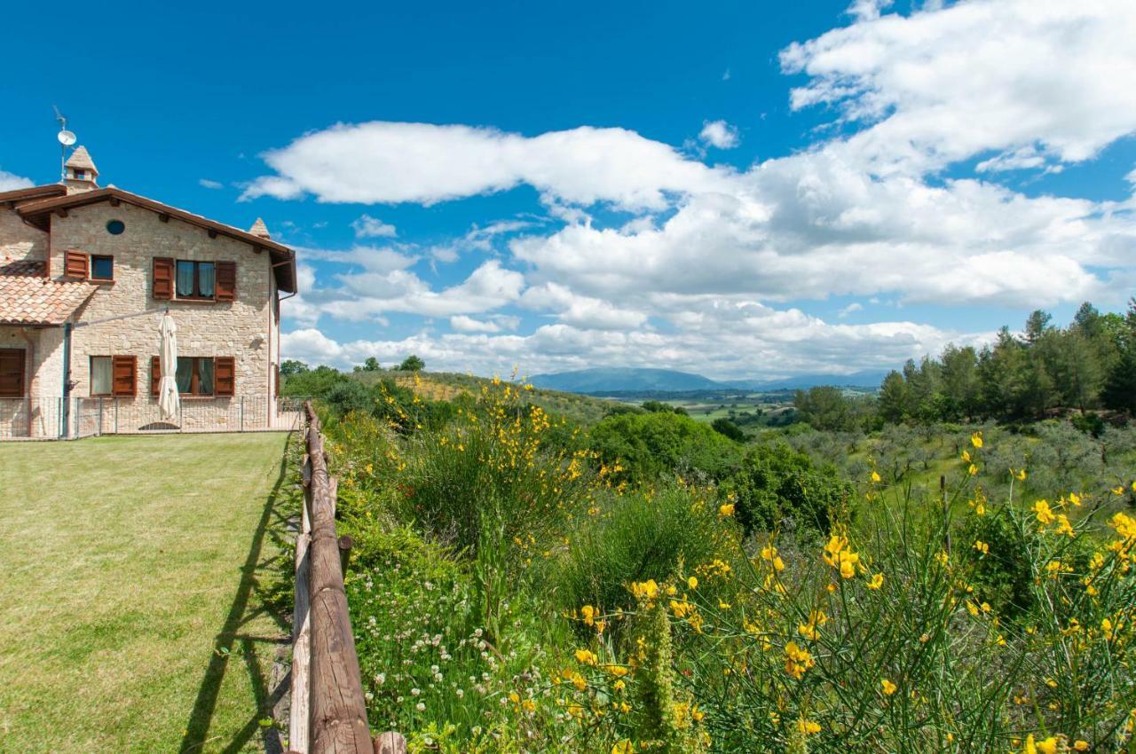 Agriturismo Molino Verde Montecchio  Экстерьер фото