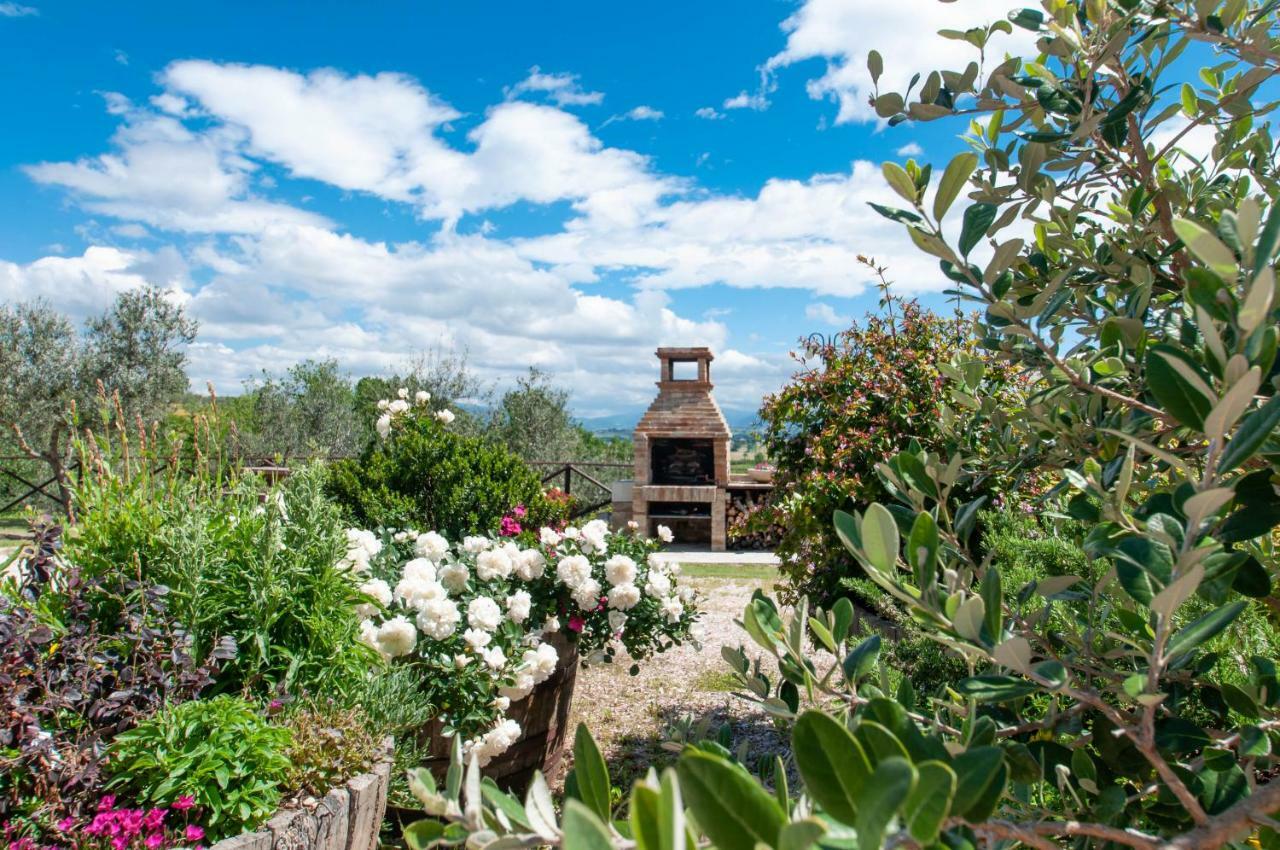 Agriturismo Molino Verde Montecchio  Экстерьер фото