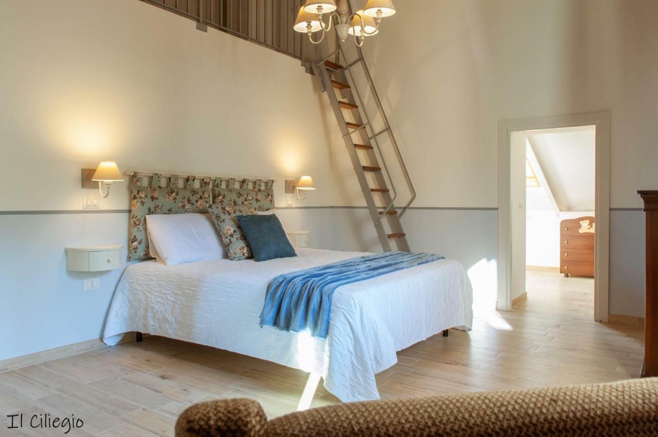 Agriturismo Molino Verde Montecchio  Экстерьер фото