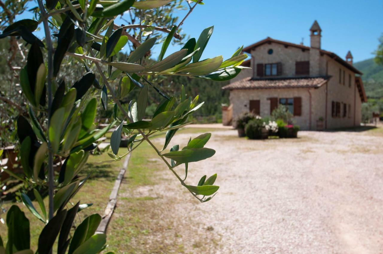 Agriturismo Molino Verde Montecchio  Экстерьер фото