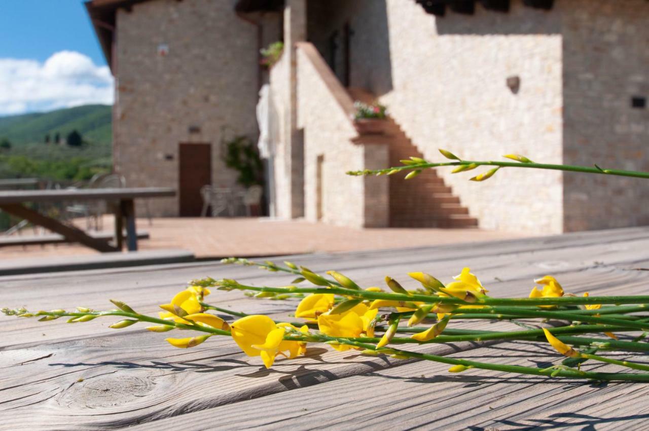 Agriturismo Molino Verde Montecchio  Экстерьер фото