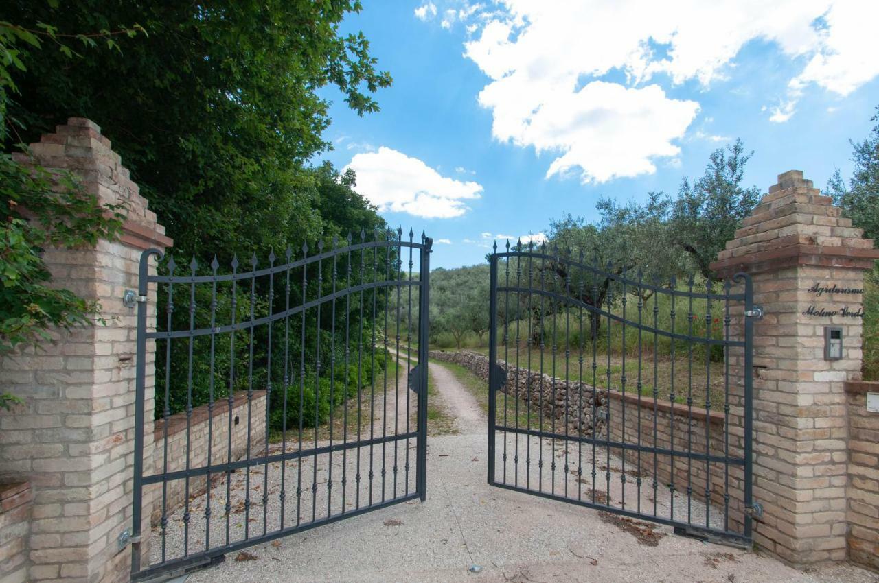 Agriturismo Molino Verde Montecchio  Экстерьер фото